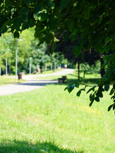 DSC03728 DSC03728